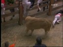 Encierros de pamplona, San Fermin 2007. Los mejores momentos