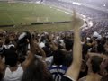 Vou torcer pro vasco ser campeão!!!! Vou torcer pro vasco ser campeão!!!!