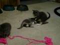 Please click on me to play my video!