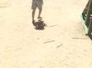 Lilo en el Tobog�n