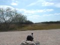 Tactical Long Range Shooting with Long Range Suppressed Silenced Rifle McAllen, TX Gun Dealer