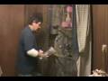 videos de Timneth African Grey - Huge Parrot Cage