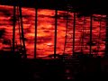 Nine Inch Nails - Non-Entity - Irvine Ampitheater