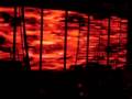Nine Inch Nails - Non-Entity - Irvine Ampitheater
