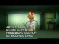 AKON feat DAVID GUETTA- SEXY BITCH (DJ.VJ RODRIGO HEINEKEN) Best Quality