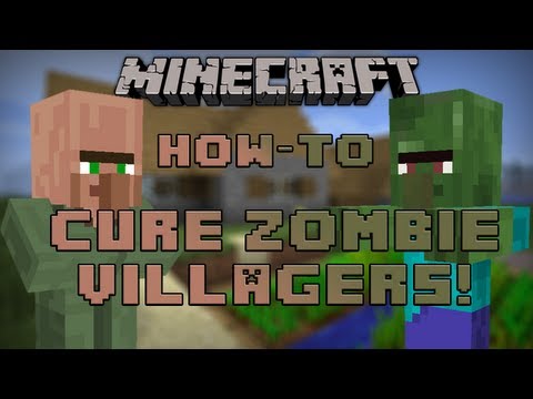 how to cure a zombie villager 1.6