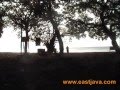 Bama Beach, Situbondo - East Java