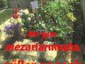 UĞUR MUMCU ANISINA ( ZAHİDE CANAN BALTA Hocamın Emekleriyle)
