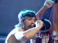 Gogol Bordello - East Infection + Dogs Were Barking