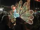 Peacock