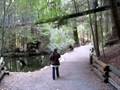 videos de Amber in Capilano