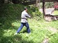How to catch fighting spiders - The Kop method How to catch fighting spiders - The Kop method
