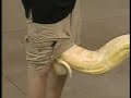 Snake in Reporter\ Snake in Reporter\