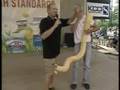 Snake in Reporter's Shorts.