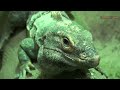 Columbus Zoo and Aquarium