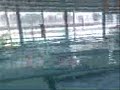 Castro en la piscina