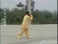 Chen style 108 forms Long Fist