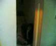 A collection of my friend s maze prank