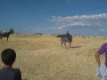 usak bölme cirit 2009