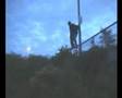  - MovieZen Video