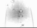 clip video Cocteau Twins Beatrix