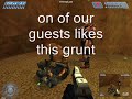 halo: grunt petting zoo