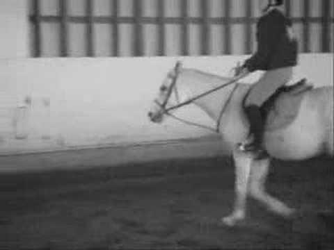 Horseback Riding - 4/12/08 - 4/13/08