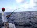 videos de jigging in martinique avec hadrien