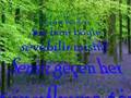 �nceki : olamamki sensiz