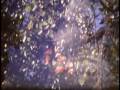 Nizo Professional Super 8 camera film tests