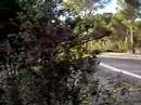 RALLY - III RONDA D\