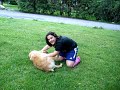 karole steve karoleson.html