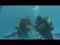 Scuba Dive Looe Cornwall