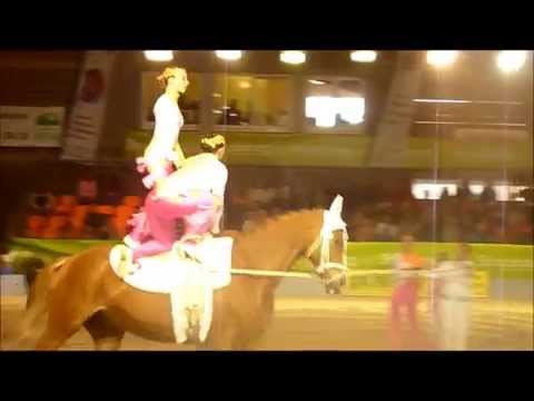 voltige lutisburg 2 strasbourg 11.5.13