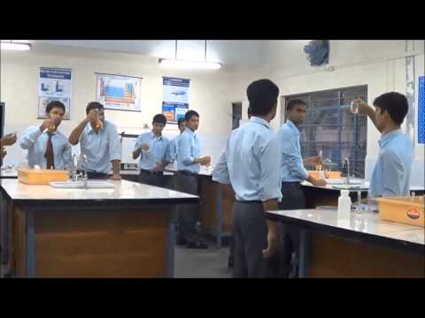 how to transplant esperanza