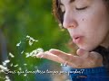 Paci�ncia - Lenine
