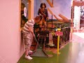 Pike's Pass Miniature Golf in Las Vegas 3 of 4