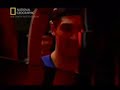 Wojownik Doskonały - National Geographic (PL)