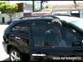la actriz pasa la tarde a andar con un misterioso hombre en west hollywood. la popular actriz lleva un tiempo sin aparecer en la gran pantalla, pero pronto la veremos en una nueva entrega de star trek winona fue a recoger algunas pel�culas a blockbuster video, entre ellas una comedia de los a�os 80.