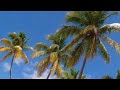 Luxury Cruise Video of the Regent Mariner at Princess Cay