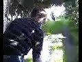 tosa erba terralba tosa erba terralba