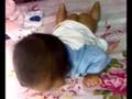 videos de czarina amireal napoline's 1st ikot