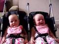 Laughing Babies