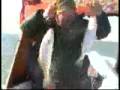 Pesca Lopecito
