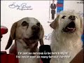 shaggy-dog-dvd-premiere-party.html