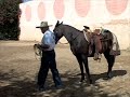 Doma de Caballos en Los Cabos \"Beduina\" Capitulo 1