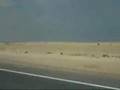 BMW M5 e60 vs. Ferrari F430