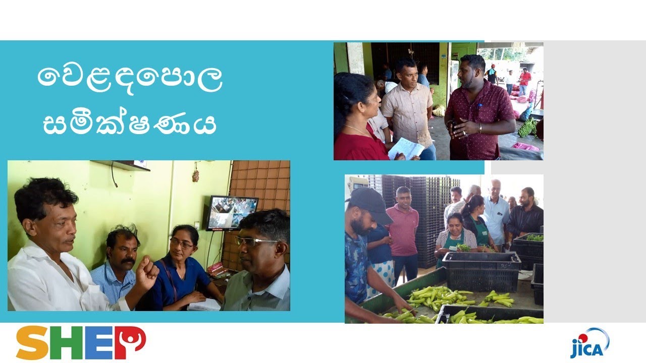 5 වෙළඳපොල සමීක්‍ෂණය - Market Survey