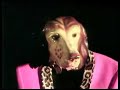 video clip by b-sharp productions for the delltones single papaoommowmow