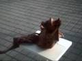 videos de piece 4